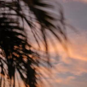 日本老太妇网站
