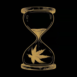 日本老太妇网站
