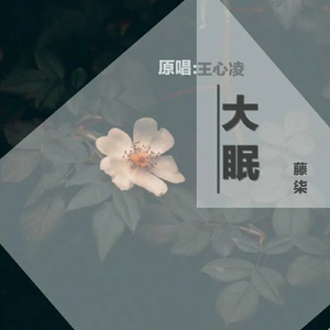 日本老太妇网站
